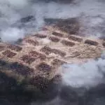 total war three kingdoms price