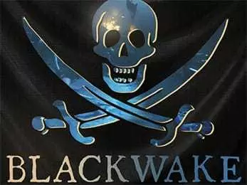 Blackwake indir ships game download