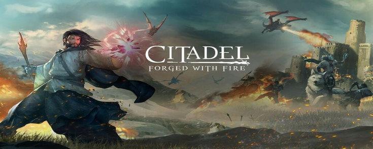Citadel Forged with Fire crack